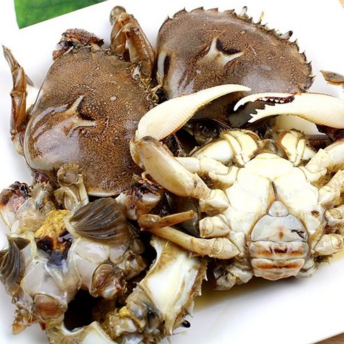 김명월 간장황게장, 1개, 2.5kg 김명월 간장황게장, 1개, 2.5kg