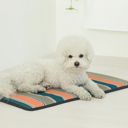 강아지 고양이 스트라이프 매트 여름 쿨방석, 오렌지+그린, 1개