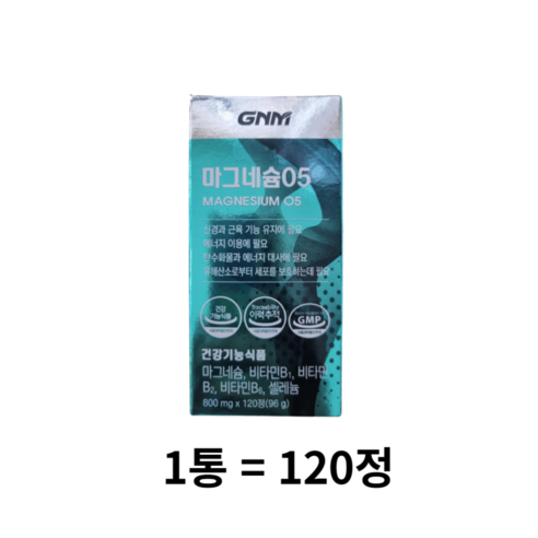 GNM자연의품격 마그네슘 05 120정, 1개