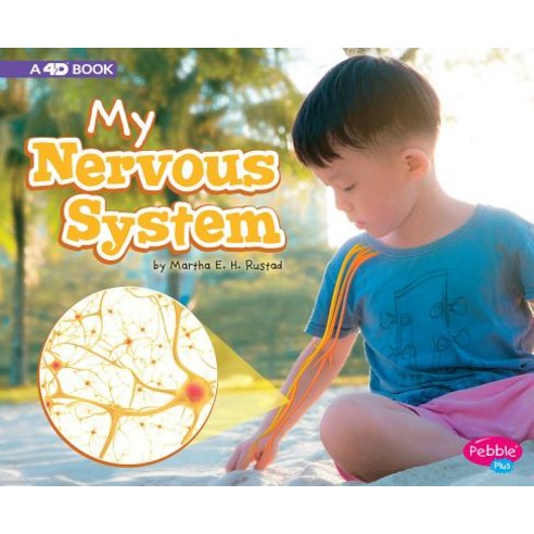 My Nervous System: A 4D Book Hardcover, Pebble Books