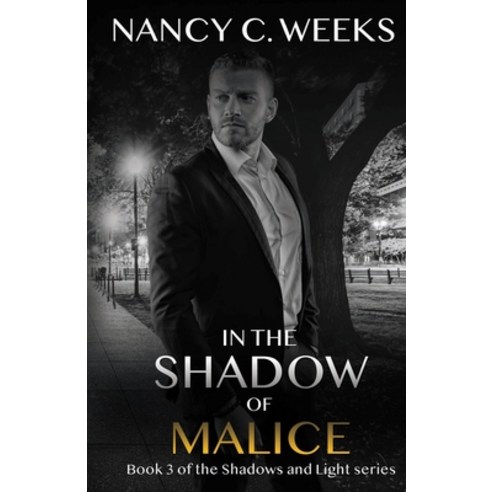 In the Shadow of Malice Book 3: Shadows and Light Paperback, Independently Published
