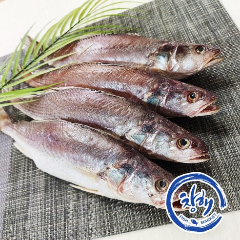 [CH창해]민어조기 영상가이석태 제수용 반건조생선 아이들반찬 구이 찜 선물용, 1개, 24-26cm 5마리