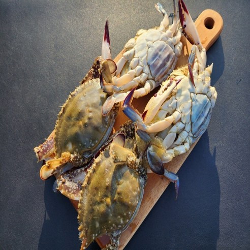 선상 급냉으로 신선도 봉인된 연평도의 맛있는 암꽃게