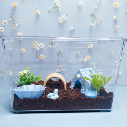 예쁘게 달팽이 기르기 블루 에디션 키우기 세트 리뷰 달팽이키우기