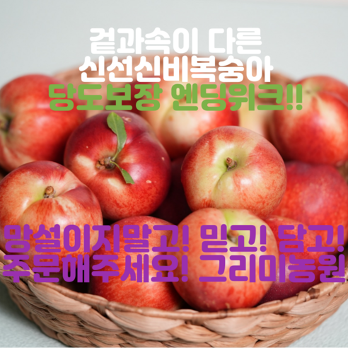 모두의보부상 올해 여름 산지직송 맛있는 딱딱이복숭아, 1박스, 중2kg 14 24년 가장맛있는 그리미농원 고당도 신비신선복숭아 엔딩위크, 로얄과, 1박스, 신선 2kg