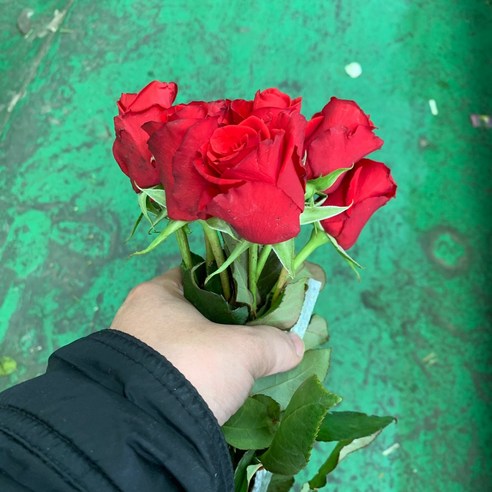 빨간장미 생화 할인가격, 총평가수 27개, 생화 타입은 생화이며, 색상계열은 레드계열입니다.