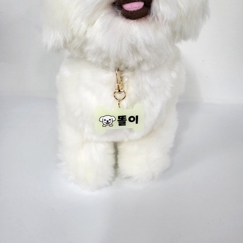 우리 강아지를 빛나게 하는 특별한 이름표