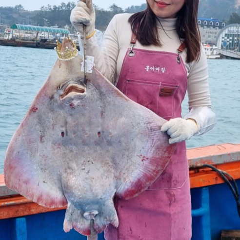 흑산도 산지직송 흑산도 홍어 국산 국내산 삭힌 싱싱 날개살 회 묵 코 삼합 택배 300g 500g 600g 1kg (수제초장 포함), 1개