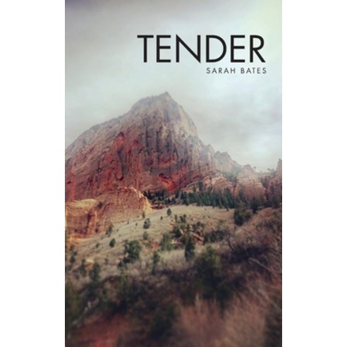 (영문도서) Tender Paperback, New Michigan Press, English, 9781934832745
