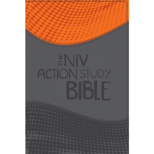 The Niv Action Study Bible-Premium Edition Imitation Leather, David C Cook
