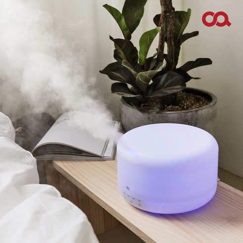 미니멀 디자인, 편리한 사용법, 제한적 가습 성능