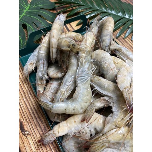 청정 해역에서 갓 잡아온 탱글한 흰다리새우