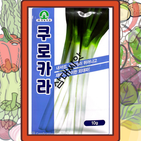 대파씨앗 10g 쿠로카라 연백부가 굵은 품종, 엽채류, 10. 나이데 100립 유럽상추