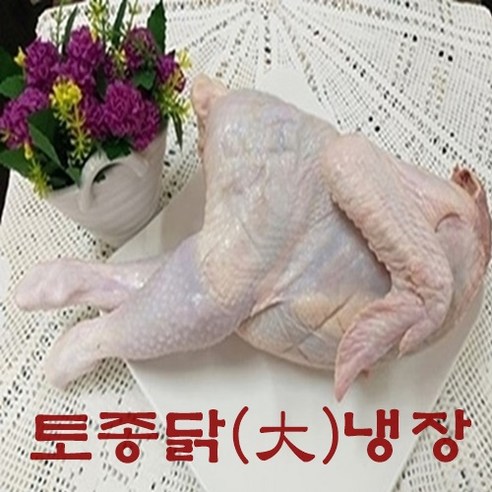 [성도축산] 토종닭 20호[손질후1.8kg] 당일도계&손질 냉장토종닭 백숙용.볶음용, 토종닭 20호 ( 백숙용 )