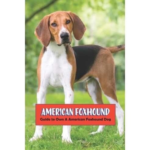 (영문도서) American Foxhound: Guide to Own A American Foxhound Dog Paperback, Independently Published, English, 9798422936946