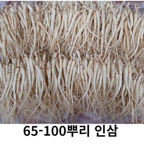 인삼 삼계탕용수삼 100뿌리 인삼, 세척( x), 1개, 500g