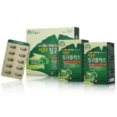 일양약품 서클존 징코플러스, 120정, 1개