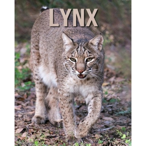 Lynx: Children''s Book An Amazing Animal Picture Book about Lynx for Kids Paperback, Independently Published