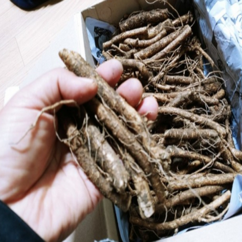 내 손으로 키우는 싱싱한 여름두릅, 담비농장 종근으로 시작하세요!