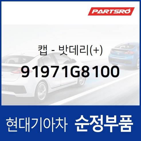 밧데리캡(+) 플러스 (91971G8100) 그랜저 IG 싼타페 TM 팰리세이드 LX2, 1개