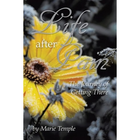 (영문도서) Life After Pain: The Journey of Getting There Paperback, Authorhouse, English, 9798823021807