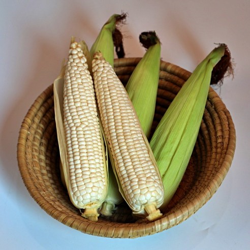 Content Image 3
