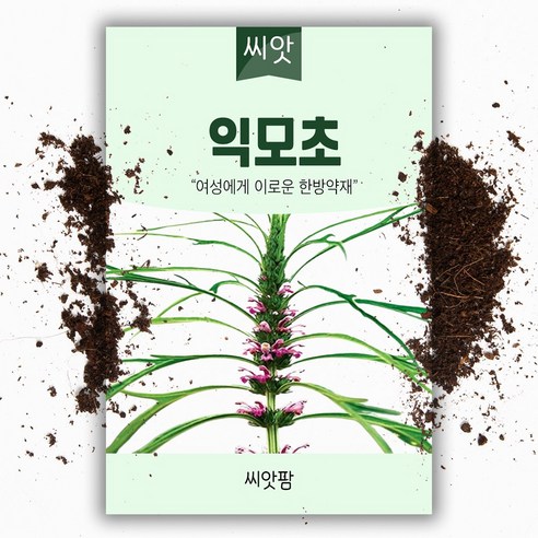 씨앗팜 익모초 씨앗 종자 1g 여성 한방 약재 씨앗, 1개