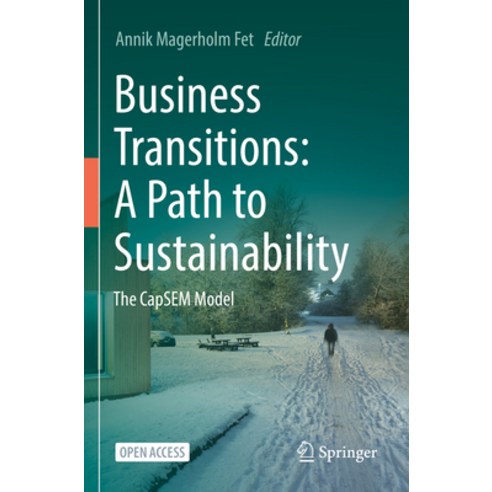 (영문도서) Business Transitions: A Path to Sustainability: The Capsem Model Paperback, Springer, English, 9783031222474