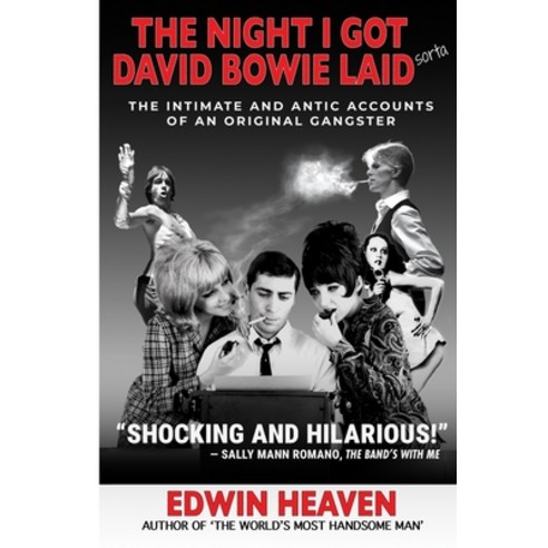(영문도서) The Night I Got David Bowie Laid (Sorta) Paperback, Best in the West Books, English, 9798218416218