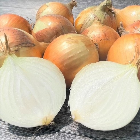 직접선별 단단한 양파 3kg 5kg 10kg 20kg 대 특 합천 햇