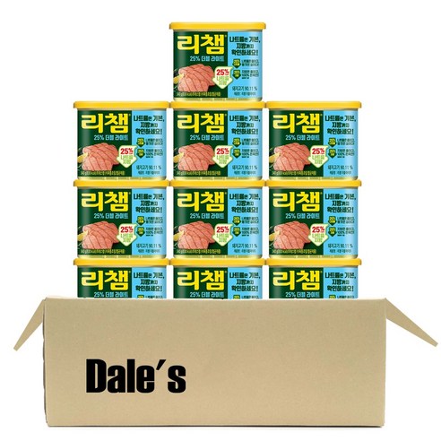데일즈기획 동원 리챔 더블라이트, 340g, 10개