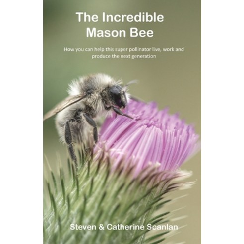 The Incredible Mason Bee Paperback, Island Books, English, 9781989681107