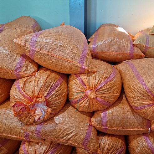 마시꼬농장 작두콩으로 비염 탈출하고 삶의 질 UP!