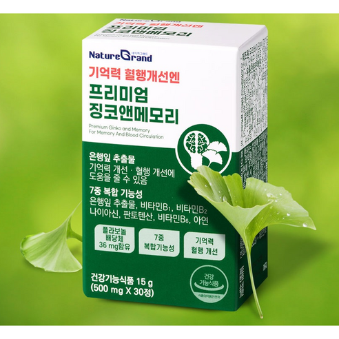 네이처그랜드 프리미엄 징코앤메모리 500mg*30정, 1개, 30정