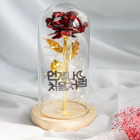굿라이프 토퍼문구 홀로그램 LED 장미 유리돔 무드등 레드꽃 우드받침대, 05.언제나처음처럼