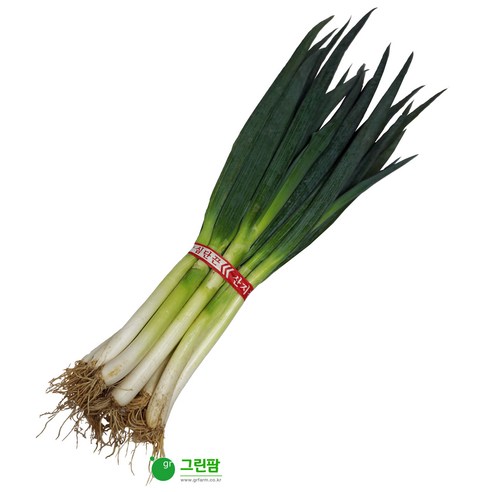 대파1단-약1kg - 대파 | 쿠팡