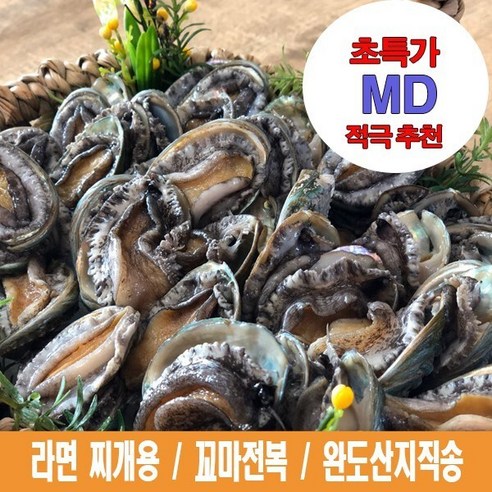 해신수산 라면전복 4070미 1kg, 1개