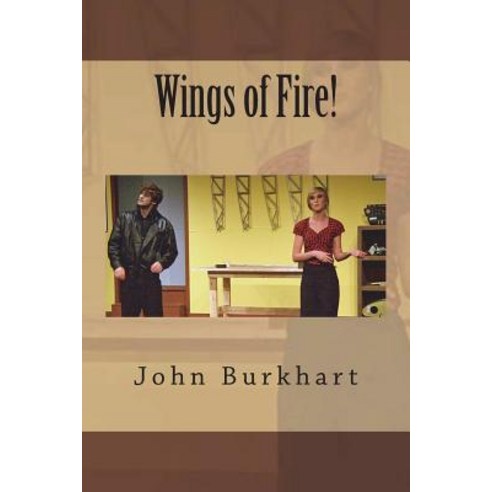(영문도서) Wings of Fire! Paperback, Createspace Independent Pub..., English, 9781722971809