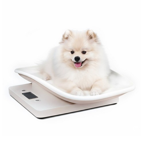 눈대중은 이제 그만! 미스터댕댕 체중계로 우리 아이 건강을 정확하게 관리하세요.