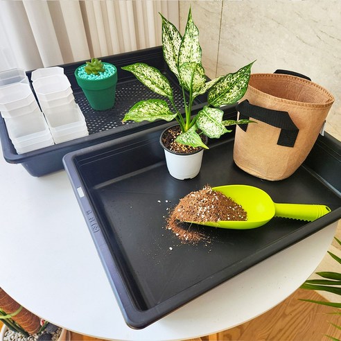 섬세한 손길로 녹색의 꿈을 키우는, 세경팜 저면관수 삽목상자 세트