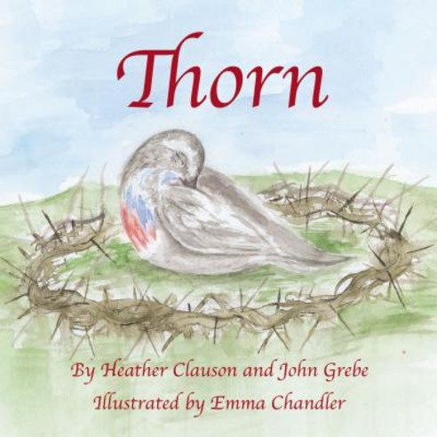 (영문도서) Thorn Paperback, ELM Hill, English, 9781595559319