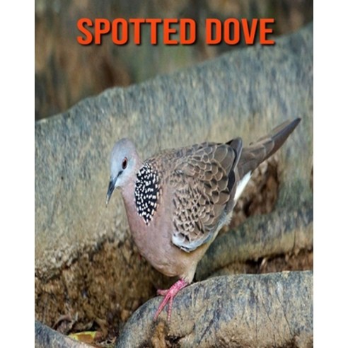 Spotted Dove: Fun Facts & Cool Pictures Paperback, Independently Published, English, 9798563280441