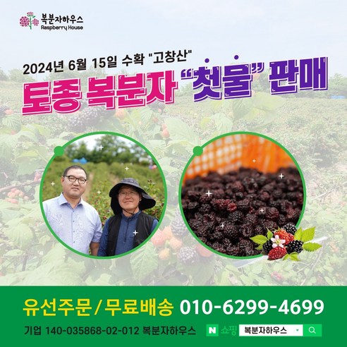 2024년산 5kg 고창산 토종 복분자 열매 원과(레시피 비닐 씨거름망 무료제공), 1개