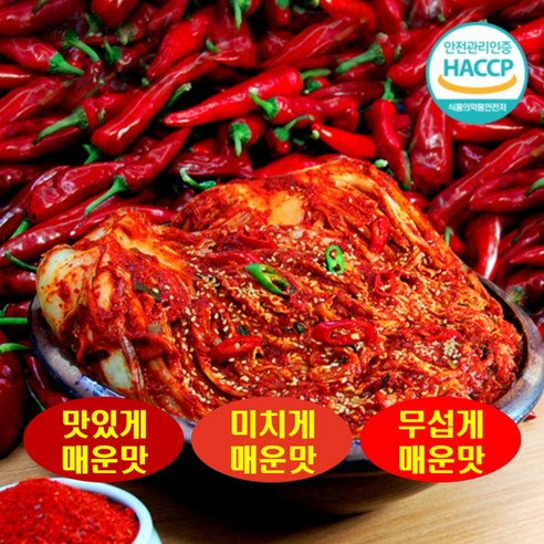 국중석 맛있는 전라도 명품 매운맛 3단계 배추불김치 맛있게매운맛 1kg, 1개