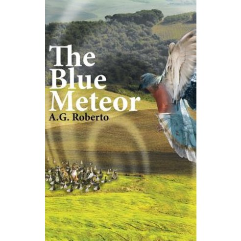 (영문도서) The Blue Meteor Hardcover, Christian Faith, English, 9781640288836