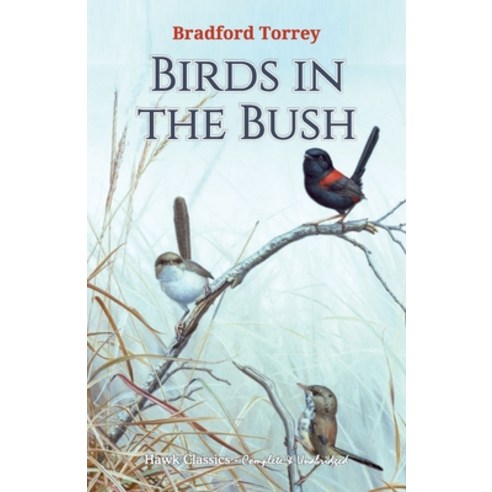 (영문도서) Birds in the Bush Paperback, Hawk Press, English, 9789392322846