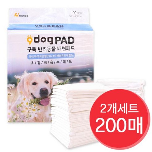 강아지 주인의 필수품: 고흡수 강아지 배변패드