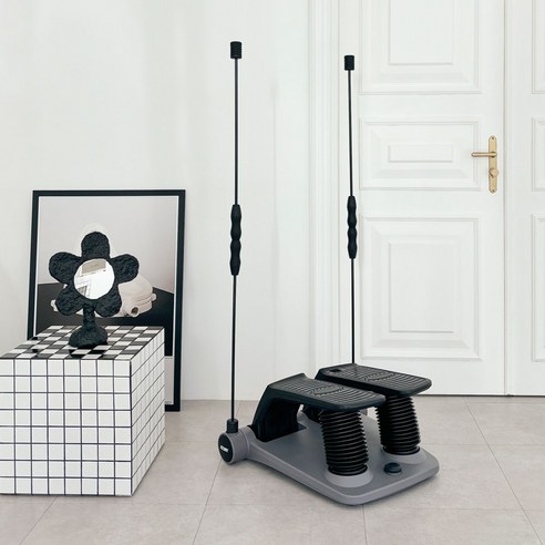 집에서 간편하고 효과적인 전신 운동: 잇지바디 노르딕 에어스텝퍼 2