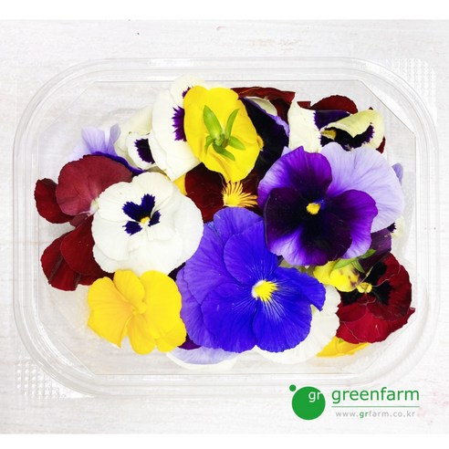 식탁 위에 펼쳐지는 꽃밭! 팬지 30송이로 특별한 하루를 선물하세요 팬지꽃