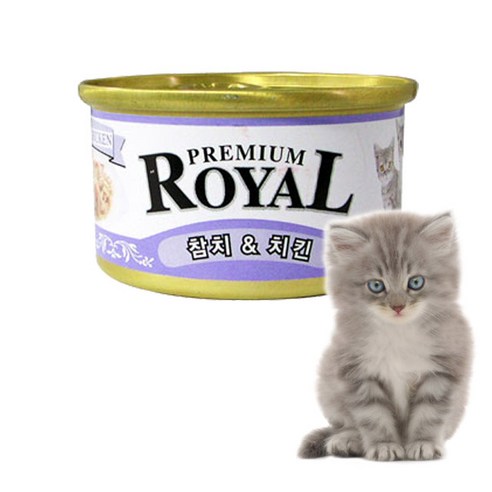 사랑하는 고양이를 위한 최고의 선택